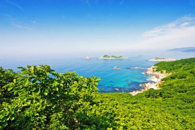 Waterscape, zümrüt orman ve deniz mavi plaj ince şerit birleştirir