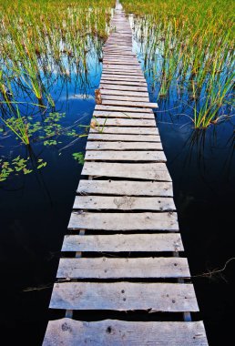 gün batımında çim ile güzel bir göl