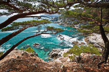 Rus Primorye deniz kenarı. Vladivostok yakınlarında. Andreevka Köyü