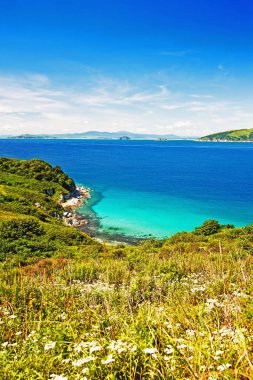 Waterscape, zümrüt orman ve deniz mavi plaj ince şerit birleştirir