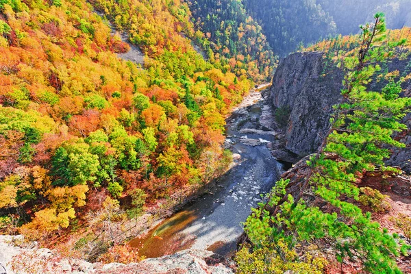 Jesień Krajobraz Burzliwy Górskiej Rzece — Zdjęcie stockowe