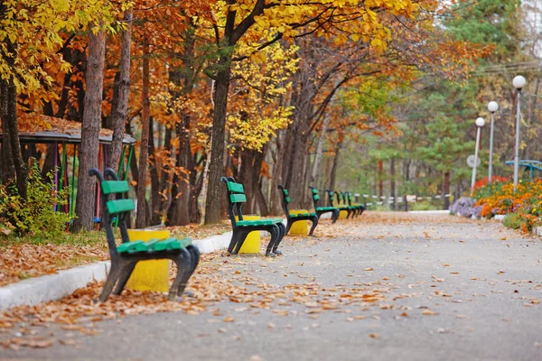 Beautiful Autumn Trees City Park — Stock Photo, Image