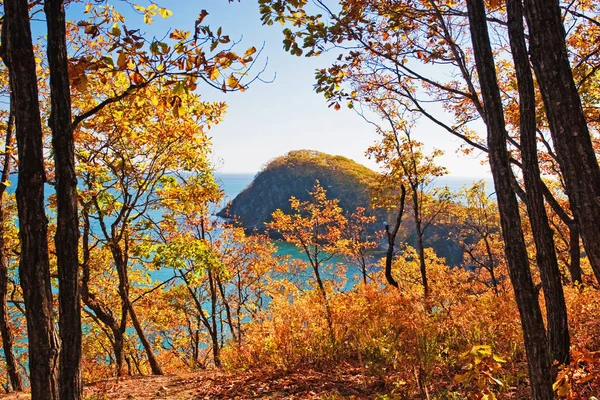 Les Arbres Automne Leur Reflet Dans Eau — Photo