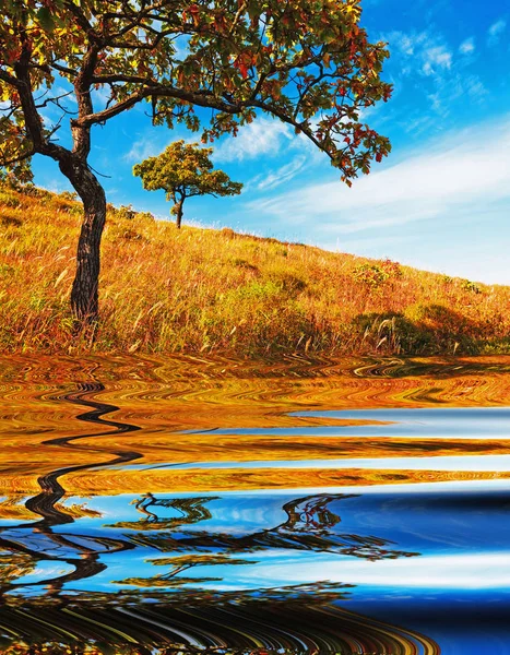 Les Arbres Automne Leur Reflet Dans Eau — Photo