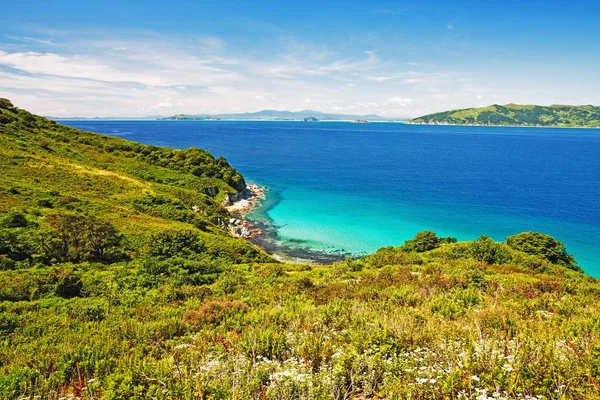 Waterscape Foresta Smeraldo Blu Marino Combina Sottile Striscia Spiaggia — Foto Stock