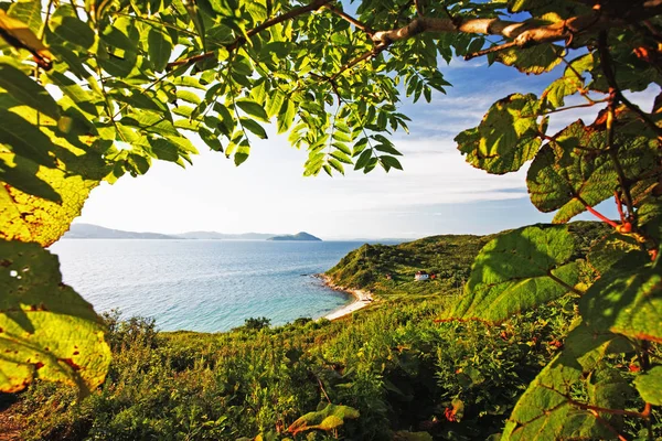 Paisaje Acuático Bosque Esmeralda Azul Marino Combinan Delgada Franja Playa — Foto de Stock