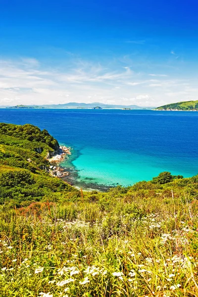 Paysage Aquatique Forêt Émeraude Bleu Marin Combine Mince Bande Plage — Photo