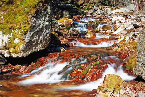 Paisagem Outono Rio Montanha Tempestuoso — Fotografia de Stock