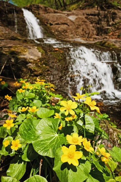 Scenic Zicht Watervallen Het Hart Van Taiga — Stockfoto