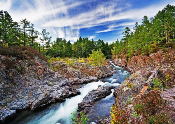Summer Landscape Wild Mountain River Stock Image