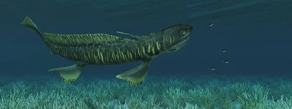 Prehistorických Žralok Orthacanthus Mořské Sasanky — Stock fotografie