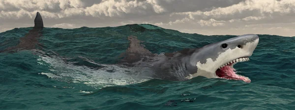 Gran Tiburón Blanco Mar Tormentoso —  Fotos de Stock
