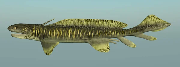 コンピューター生成 Orthacanthus の先史時代のサメの — ストック写真