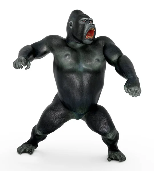 Angry Gorilla White Background — Stock Photo, Image