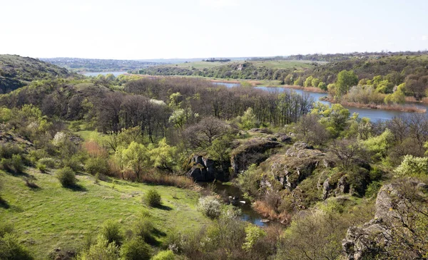 Grüne Bäume auf den Hügeln, Felsen und Fluss führt zum Horizont, kleiner Bach, Nahaufnahme — Stockfoto