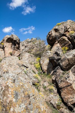 kayaların yakın çekim görünümü, arka planda mavi gökyüzü, kayaların arasında sarı çiçekler, dikey yönelim