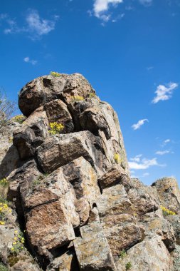 kaya üzerinde taşların yakın çekim görünümü, arka planda mavi gökyüzü, kayalar arasında çiçekler, dikey yönelim