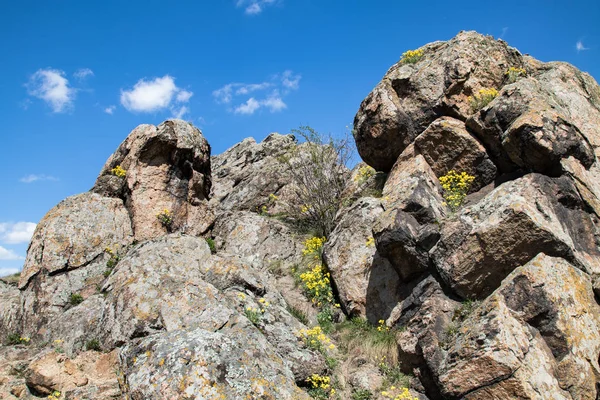 Vista de cerca de las rocas, cielo azul en el fondo, flores amarillas entre las rocas, orientación horizontal —  Fotos de Stock