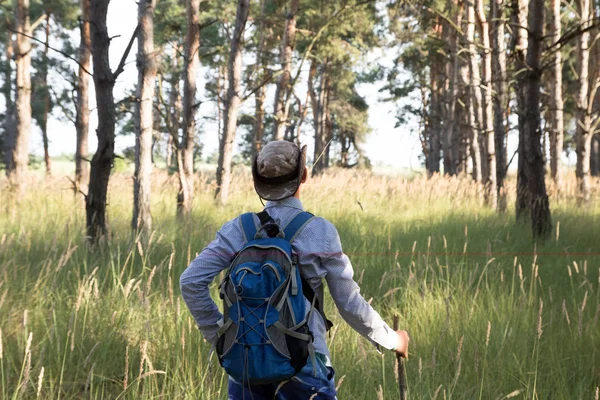 Adolescent caucasien en chapeau avec sac à dos et bâton se dresse dans la forêt de pins. Heure d "été . — Photo