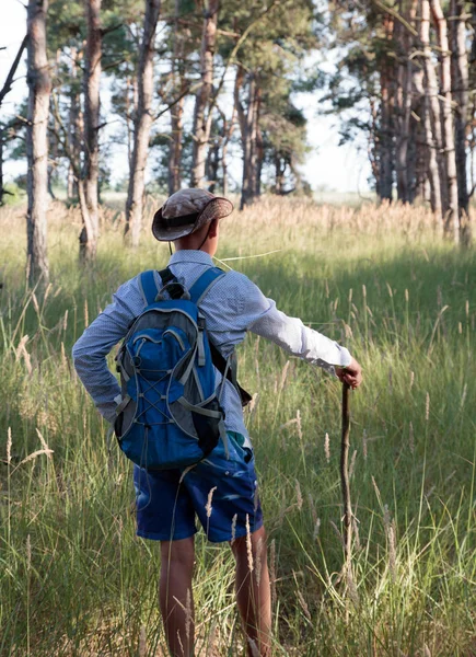 sırt çantası ve sopa ile şapkalı beyaz ergen ormanda duruyor. Yaz saati.