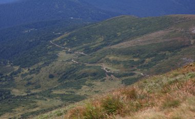 köy yolunda carpatian dağlar yeşil ve sarı tepelerde arasında. bisikletçileri yolda