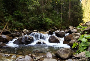 Carpatian yeşil orman Prut Nehri üzerinde büyük beyaz rapids