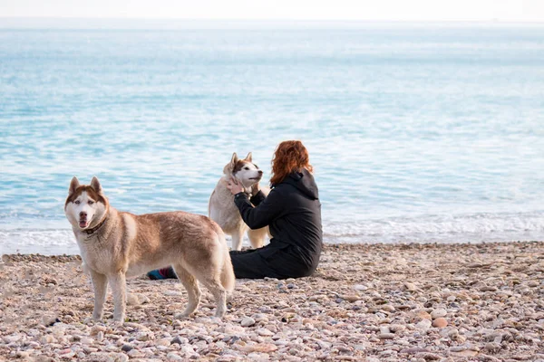 Ruda Dziewczyna Jest Zabawy Jej Husky Pies Żwirowej Plaży — Zdjęcie stockowe