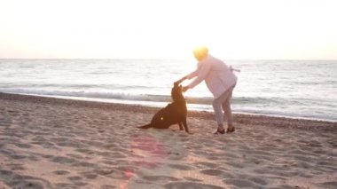 Kıvırcık beyaz kadın gün doğumunda plajda çikolata labradoruyla oynuyor.