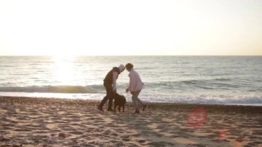 Genç, beyaz bir çift gün doğumunda plajda çikolatalı labrador köpeğiyle oynuyorlar.