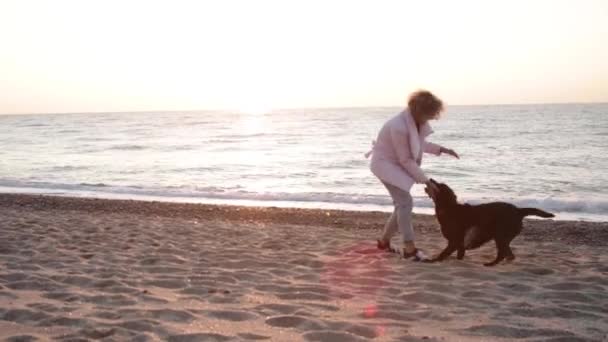 Σγουρά Καυκάσια Γυναίκα Παίζει Λαμπραντόρ Σοκολάτα Στην Παραλία Στο Φως — Αρχείο Βίντεο