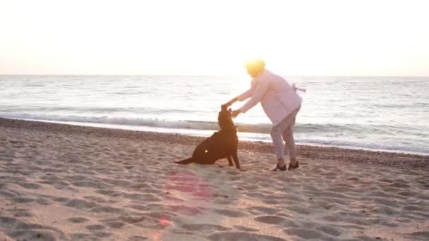 Rizado Caucásico Hembra Jugando Con Chocolate Labrador Playa Amanecer Luz — Vídeo de stock