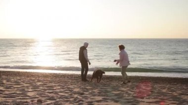 Genç, beyaz bir çift gün doğumunda plajda çikolatalı labrador köpeğiyle oynuyorlar.