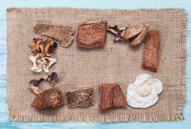 Kuru egzotik bitkiler kumaş üzerine yalan