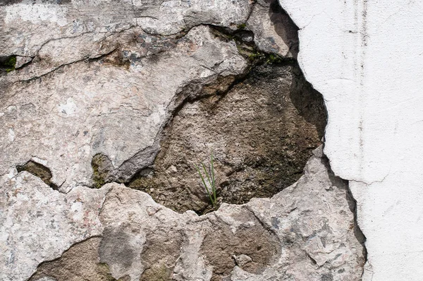 Doku eski tuğla duvara sıva — Stok fotoğraf
