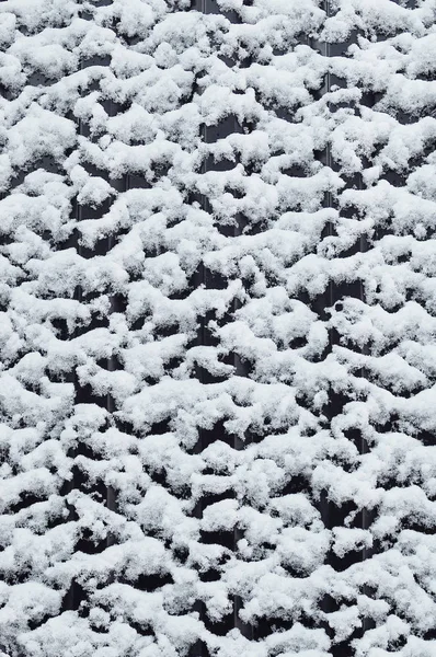 Textura de nieve sobre un fondo oscuro — Foto de Stock