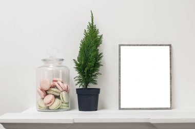 Boş çerçeve ve dekoratif bitki ile raf