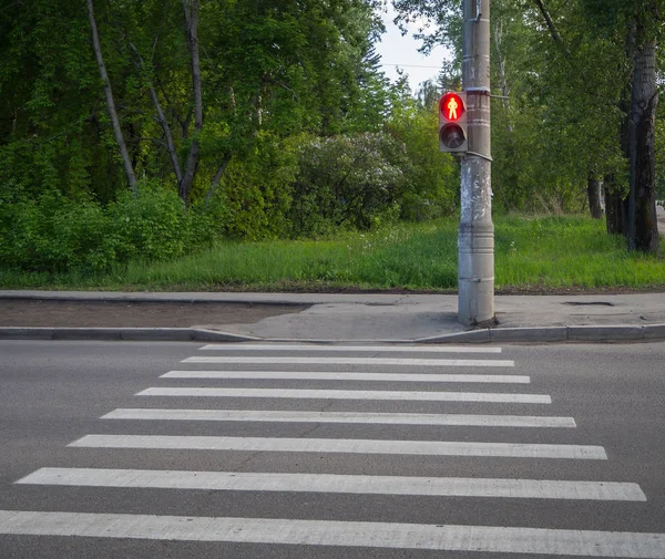 Zebrastreifen mit Ampel — Stockfoto