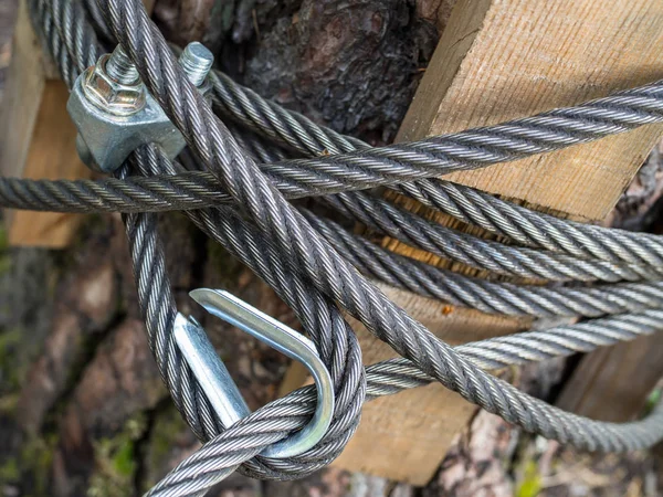 Ocelové vázací prostředky kabel uvázanou kolem lesní strom — Stock fotografie
