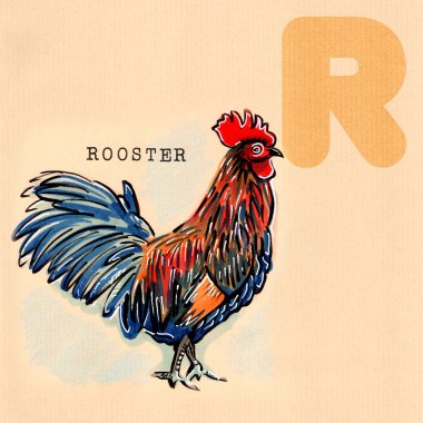 İngilizce alfabe, horoz