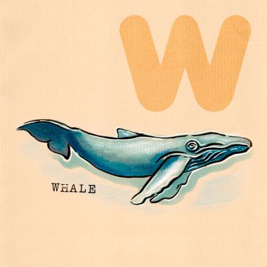 İngilizce alfabe, balina 