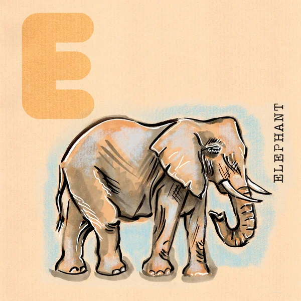 Englisches Alphabet, Elefant — Stockfoto