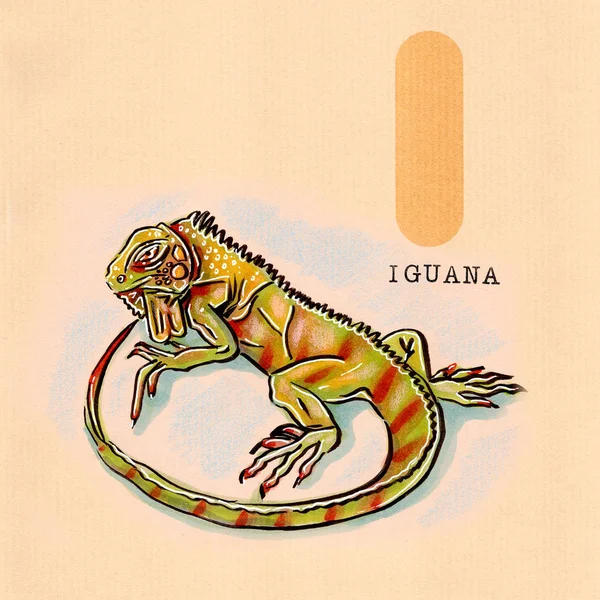 Alfabeto inglés, Iguana —  Fotos de Stock