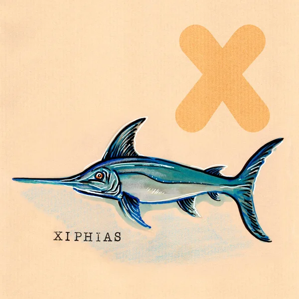 Английский алфавит, Xiphias (меч-рыба ) — стоковое фото