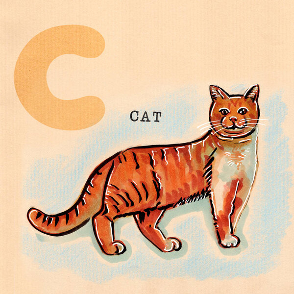 English alphabet , Cat — Stock Photo, Image