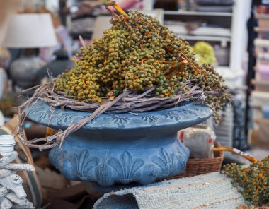 brokante Dükkanı vazoya bitkilerde 