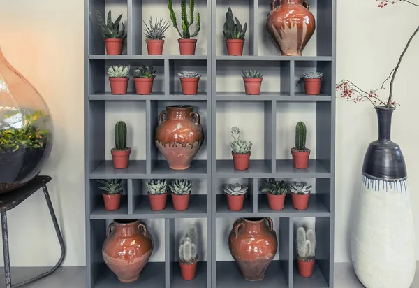 Huis decoratie met planten en potten — Stockfoto