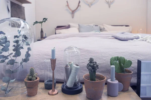Dormitorio interior con plantas decorativas —  Fotos de Stock