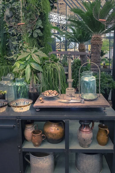 Botanical table in garden place — Stock Photo, Image