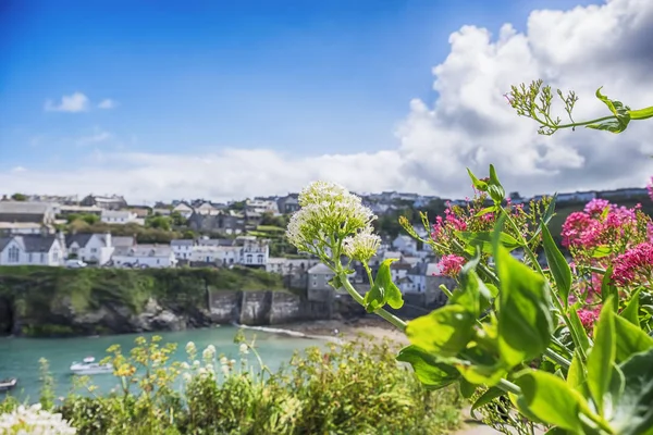 Antiguo pueblo Port Isaac, Cornwall —  Fotos de Stock