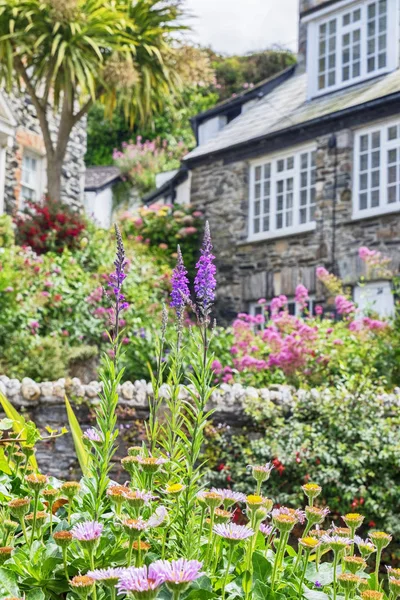 Garden and house, village Port Isaac — Stock Photo, Image